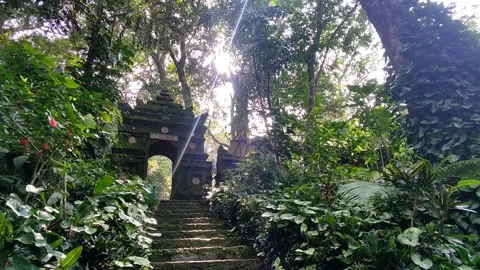 Wild ancient building 스톡 동영상 242381336