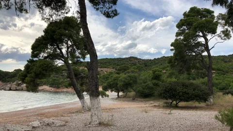 A wild and empty beach with sea and some trees in a cloudy day. Stock-Footage 138895820