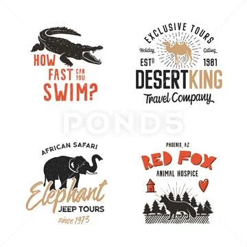 Wild Animal Badges Set And Great Outdoors Activity Insignias. Retro Illustration