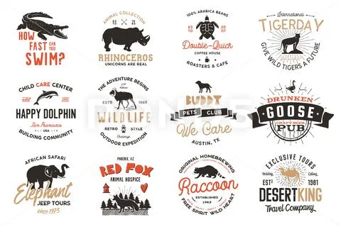 Wild Animal Badges Set And Great Outdoors Activity Insignias. Retro Illustration