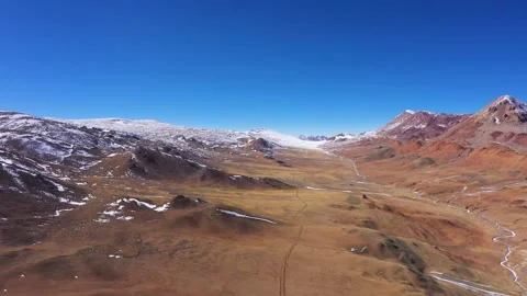 Wild animal documentary, natural ecological documentary, Stock Footage 241973553