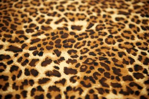 Wild animal pattern background or texture Foto stock