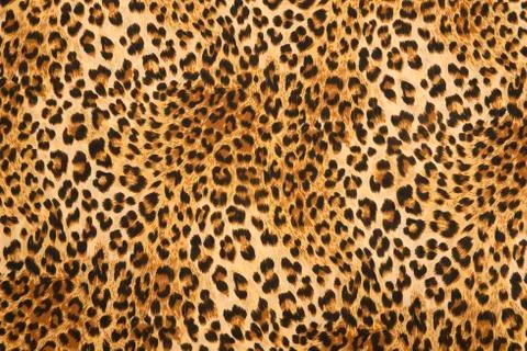 Wild animal pattern background or texture Stock Photos