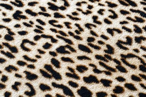 Wild animal pattern background or texture, Leopard jungle theme print Stock Photos