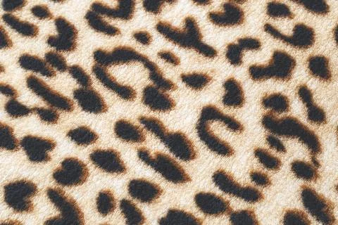 Wild animal pattern background or texture, Leopard jungle theme print Stock Photos