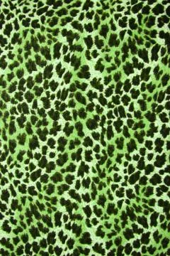 Wild animal skin pattern Foto stock