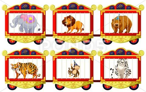 Wild Animals In The Circus Cages