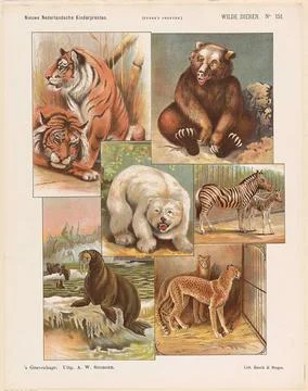 Wild animals; New Dutch childrens prints; Funke s prints. Leaf with 6 perf... Stock Photos