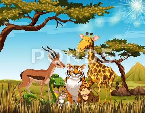 Wild Animals In The Savanna Field