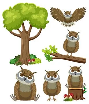 Wild animals set with nature elements Stock Illustration