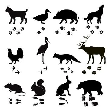 Wild animals vector paw footsteps black silhouette shape isolated on white Stock Illustration