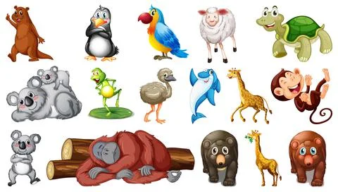 Wild animals on white background 스톡 일러스트