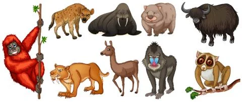 Wild animlas Stock Illustration