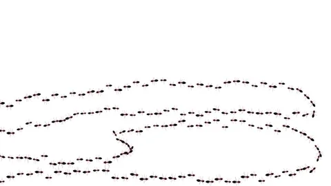 Wild ant walking on path Loop Background. group of ant walking. Animal Spreading Stock Footage 177435408