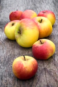Wild apples Stock Photos