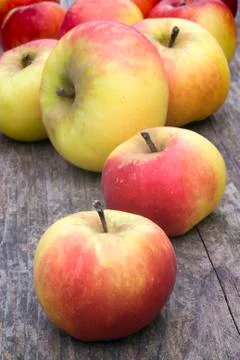 Wild apples Stock Photos