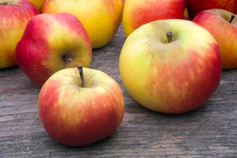 Wild apples Stock Photos