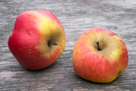Wild apples Stock Photos