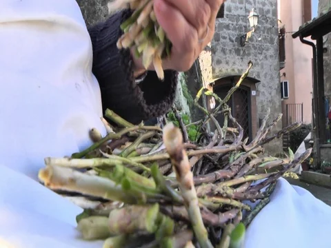 Wild Asparagus cleaning Stockbeeldmateriaal 81017884