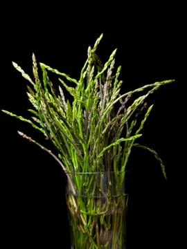 Wild asparagus Stock Photos