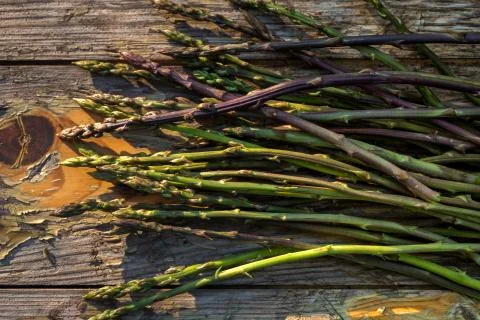 Wild asparagus Stock-Fotos