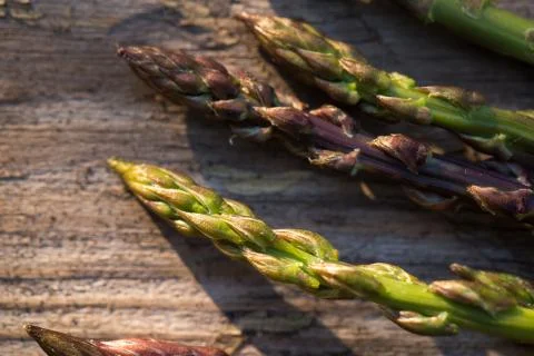 Wild asparagus Stock Photos
