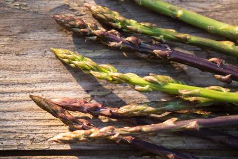 Wild asparagus Stock Photos
