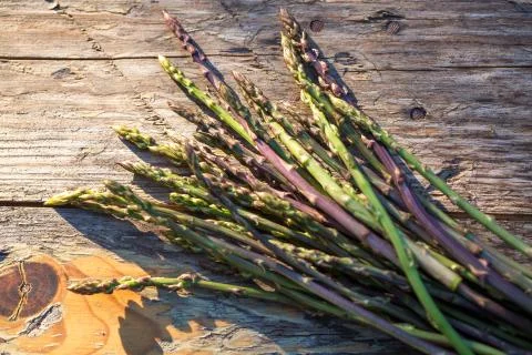 Wild asparagus Stock Photos