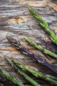 Wild asparagus Stock Photos