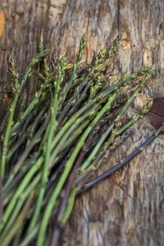 Wild asparagus Stockfoto's