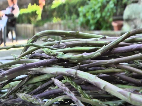 Wild asparagus zoom in Stockbeeldmateriaal 81017746