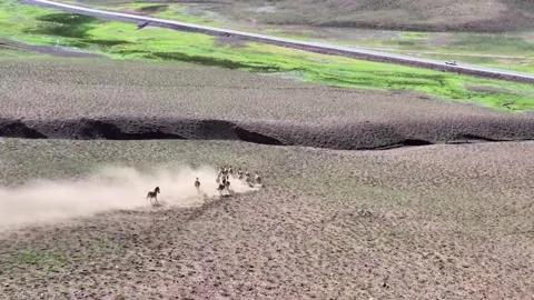 Wild Asses Kicking Up Dust While Running Across the Tibetan Plateau Tibet China 動画素材 346738036