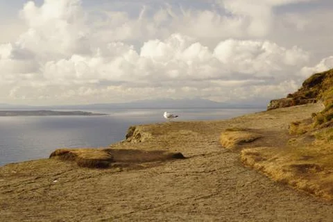 Wild Atlantic Way   Cliffs of Moher Stock Photos