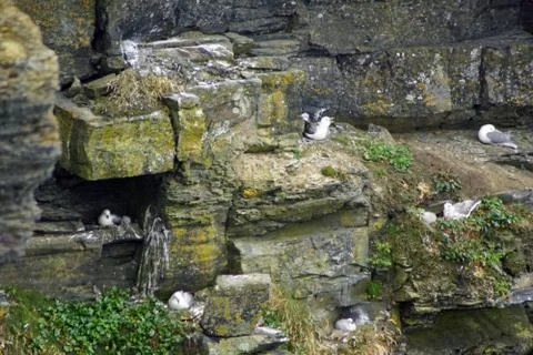 Wild Atlantic Way   Cliffs of Moher Stock Photos