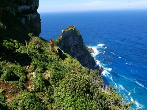 Wild Baboon Climbing Up The Side Of A Cliff With Ocean In the Background Stock-Footage 80450514