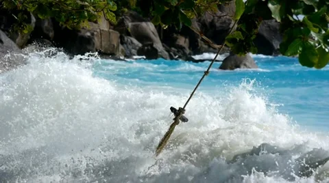 Wild beach 10 Stock Footage 10804558