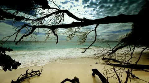 Wild beach 2 Stock Footage 10804191