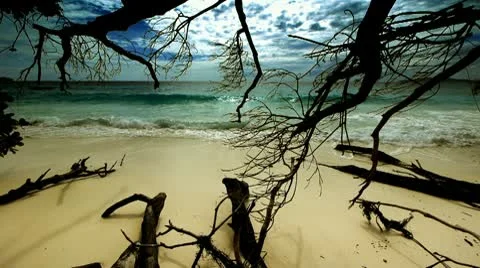 Wild beach 3 Stock-Footage 10804202