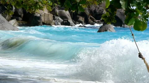 Wild beach 9 Stock Footage 10804549