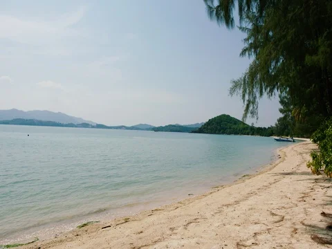 Wild beach in the afternoon Stock Footage 81106502