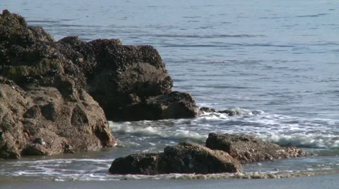Wild beach in California Видео 47252725