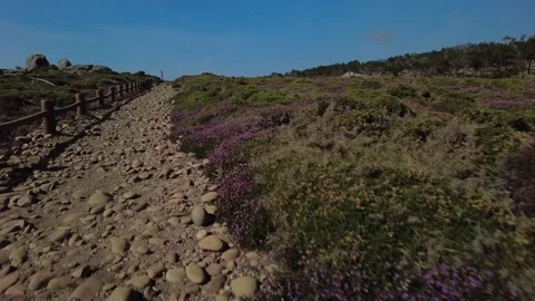 Wild Beach Coastline with Mountains in the Background - Viana do Castelo Stock Footage 155235106
