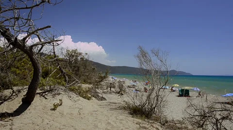 Wild beach Stock Footage 34396964