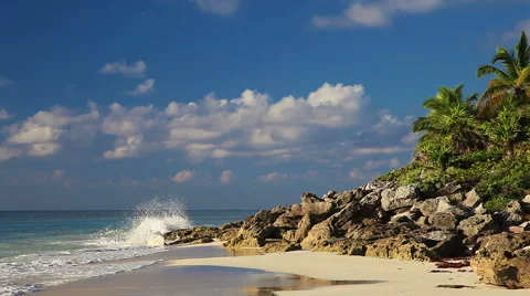 Wild Beach Stock Footage 41791850