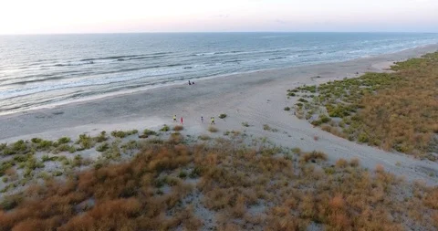 Wild Beach Stock Footage 97972877