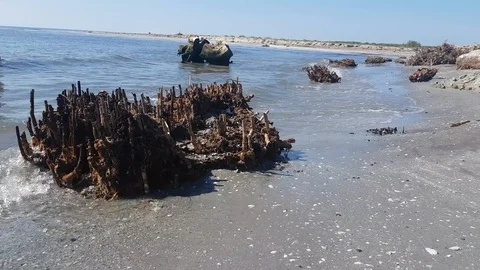 Wild Beach Stock Footage 125322281