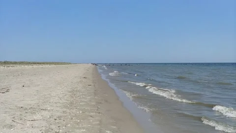 Wild Beach Stock Footage 138595109