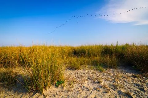 Wild beach landscape Stock Photos