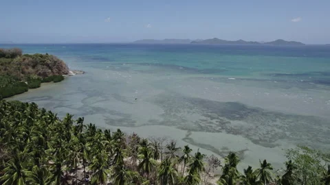 Wild beach with palm trees in the Philippines view from a drone Stock Footage 280349679