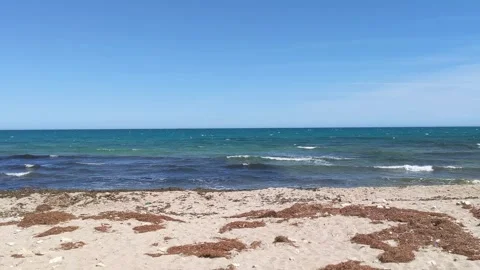 Wild beach panoramic view in Spain Stock Footage 263897985